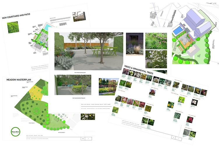 Landscape design plans: site maps, plant palettes, and 3D renderings