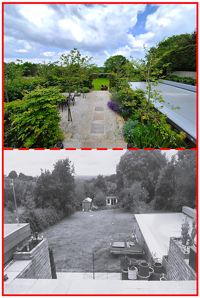 Before & After Garden Design: Moss Olive Design