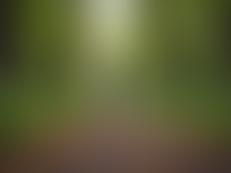 Essential Tips for Better Cardiac Health: Heart Health Techniques for Lifelong Wellness