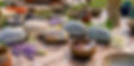 SF34 - Copy.jpg