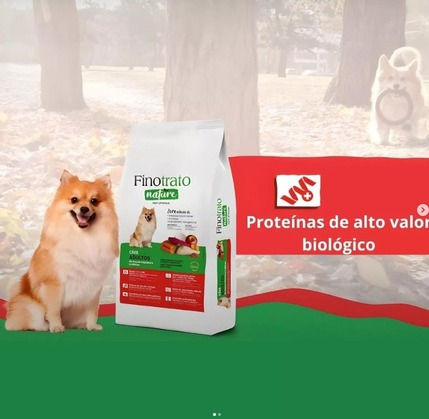 WhatsApp Image 2025-07-17 at 16.00.21