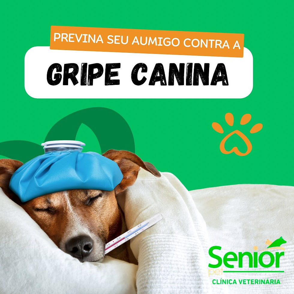 SaveClip.App_474735956_17855029092363220_5189912113015206777_n