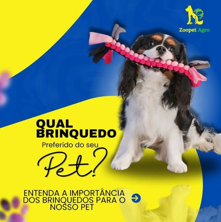 WhatsApp Image 2025-07-17 at 16.05.35 (8)