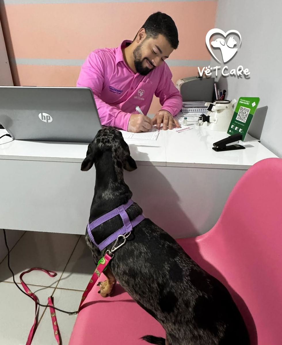 WhatsApp Image 2025-05-11 at 11.43.20