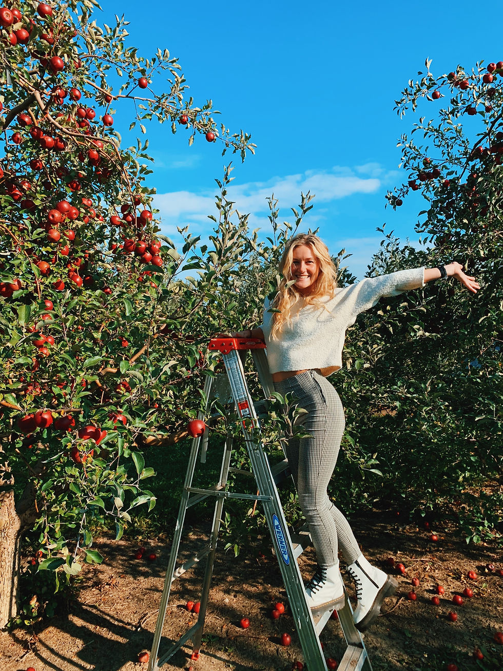 Plant spring bulbs already in bloom