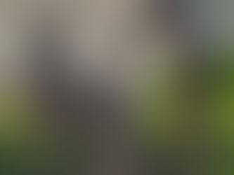 Amazing and Wonderful