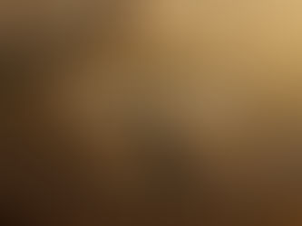 Biblical Faith & Reasoning Soul Center