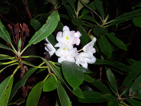 Think on These Things