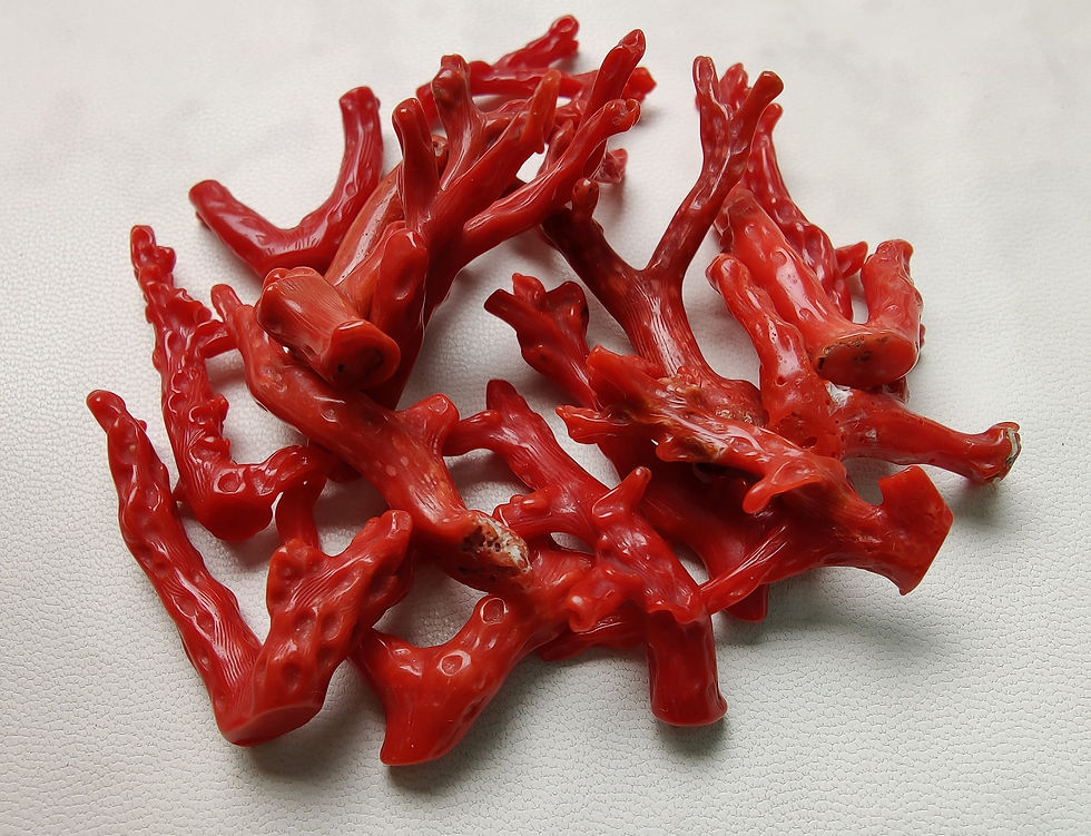 Coral 2