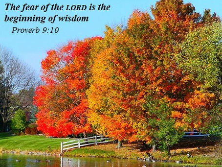 Thoughts of an old Born Again Sailor