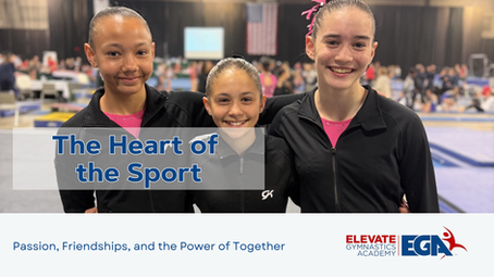 The Heart of the Sport: Passion, Friendships, and the Power of Together