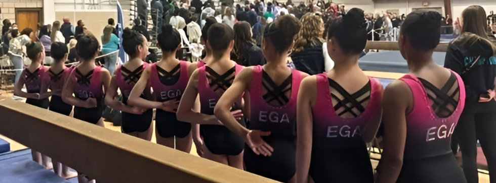 Elevate Gymnastics Girls competition teams.png