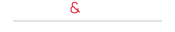 Logo de l’entreprise « Valeurs & Expertises », avec les mots « Valeurs » et « Expertises » en bleu, reliés par le signe « & »