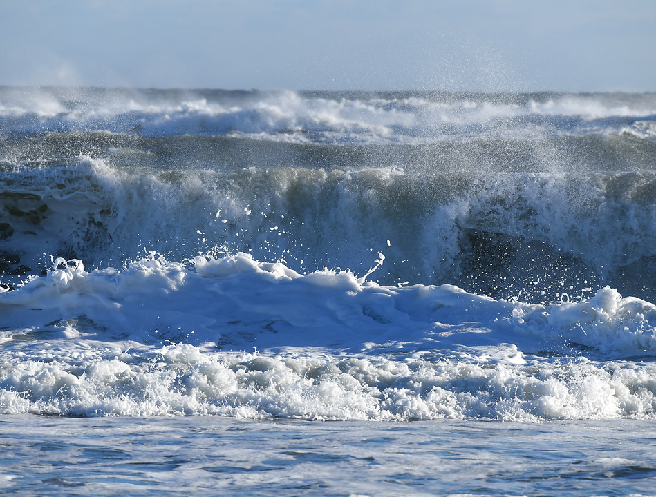 DSC_2546.jpg