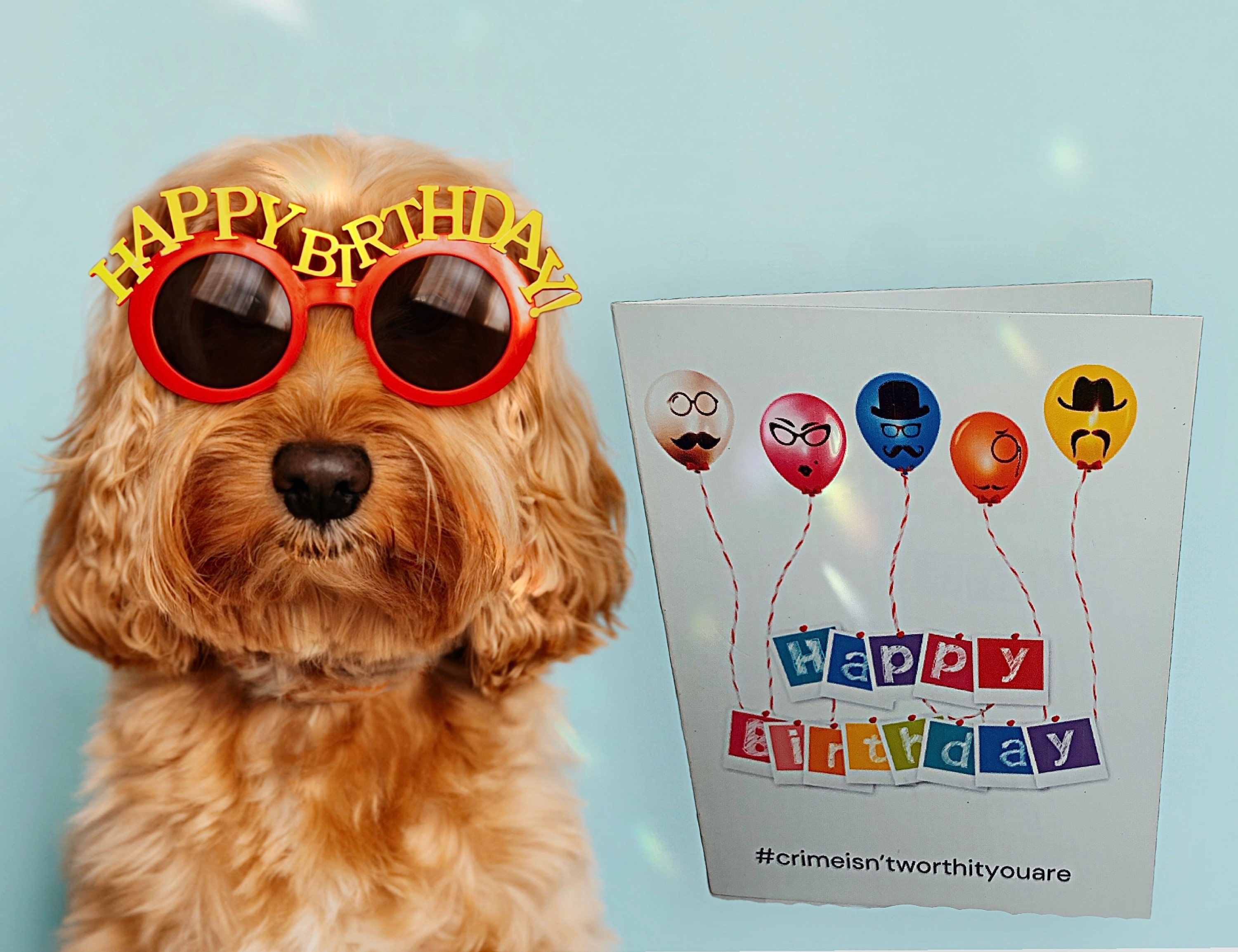 Crime isn’t worth it you are ! Happy birthday card