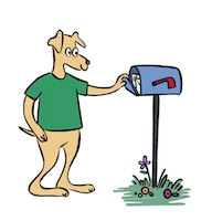 Freebie checking his mailbox for letters.