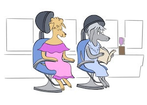 Perms Are Not for Hair- Understanding User Access