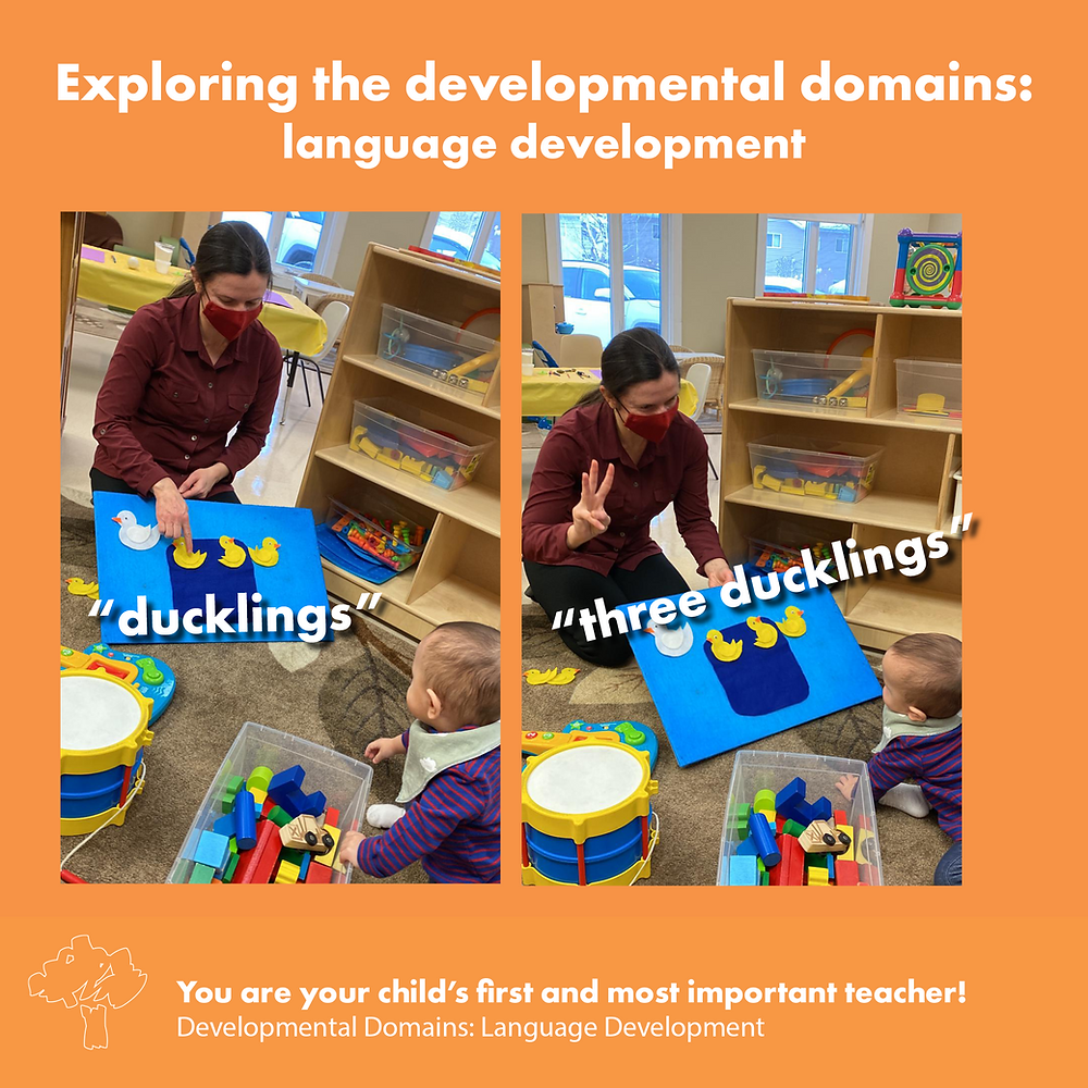 The developmental domains language development