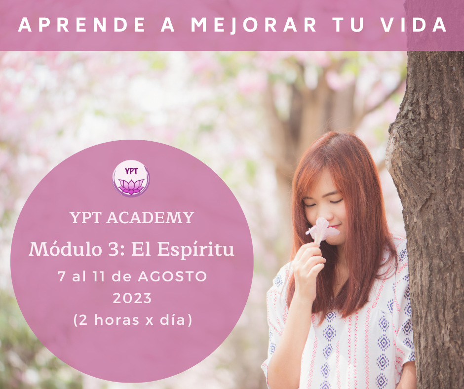 Módulo 3 Agosto 2024 pago 2 personas