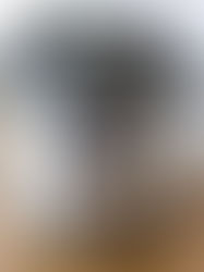 Set. It. and Forget. It!