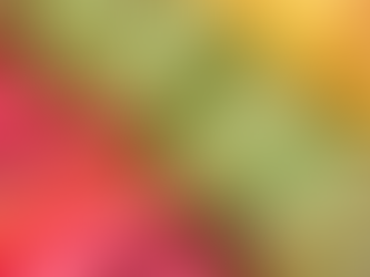 When. Food. Takes. Center. Stage.