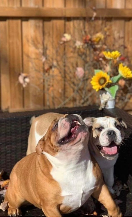 Lola & Stella Pic_edited_edited.jpg