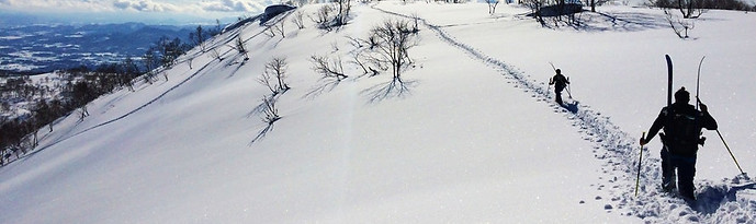 379a2889900015a5c4a965735e698a23.jpg