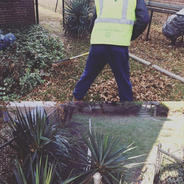 leafremoval2.PNG