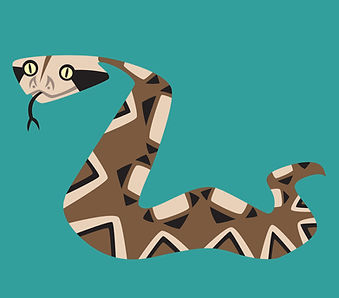 gaboon-viper copy.jpg