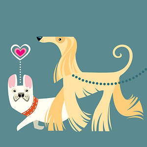 whimsical-mid-century-modern-cartoon-white-french-bulldog-and-afgan-hound-in-love-pet-portrait-animal-character-cute-valentine's-day-dog-walking-kids-illustration.jpg