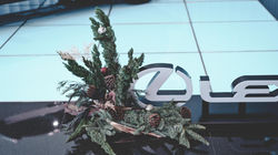 lexus新車聖誕花藝 | 品牌佈置DSC00352