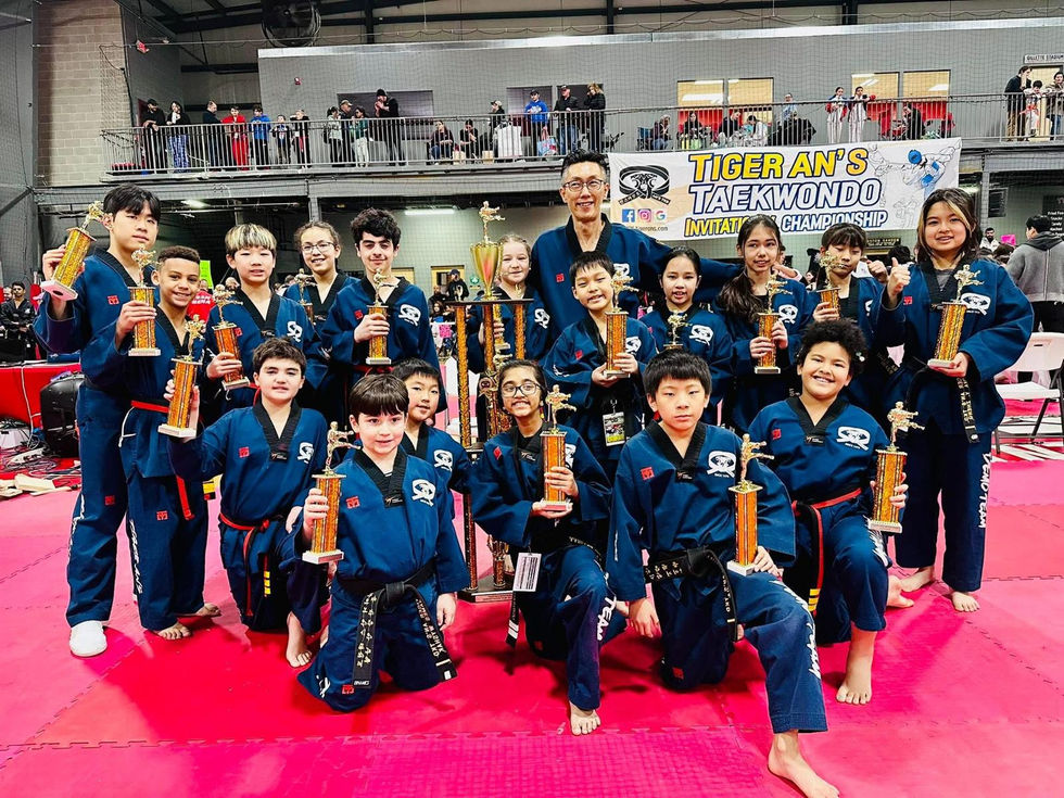 Demo Team Taekwondo