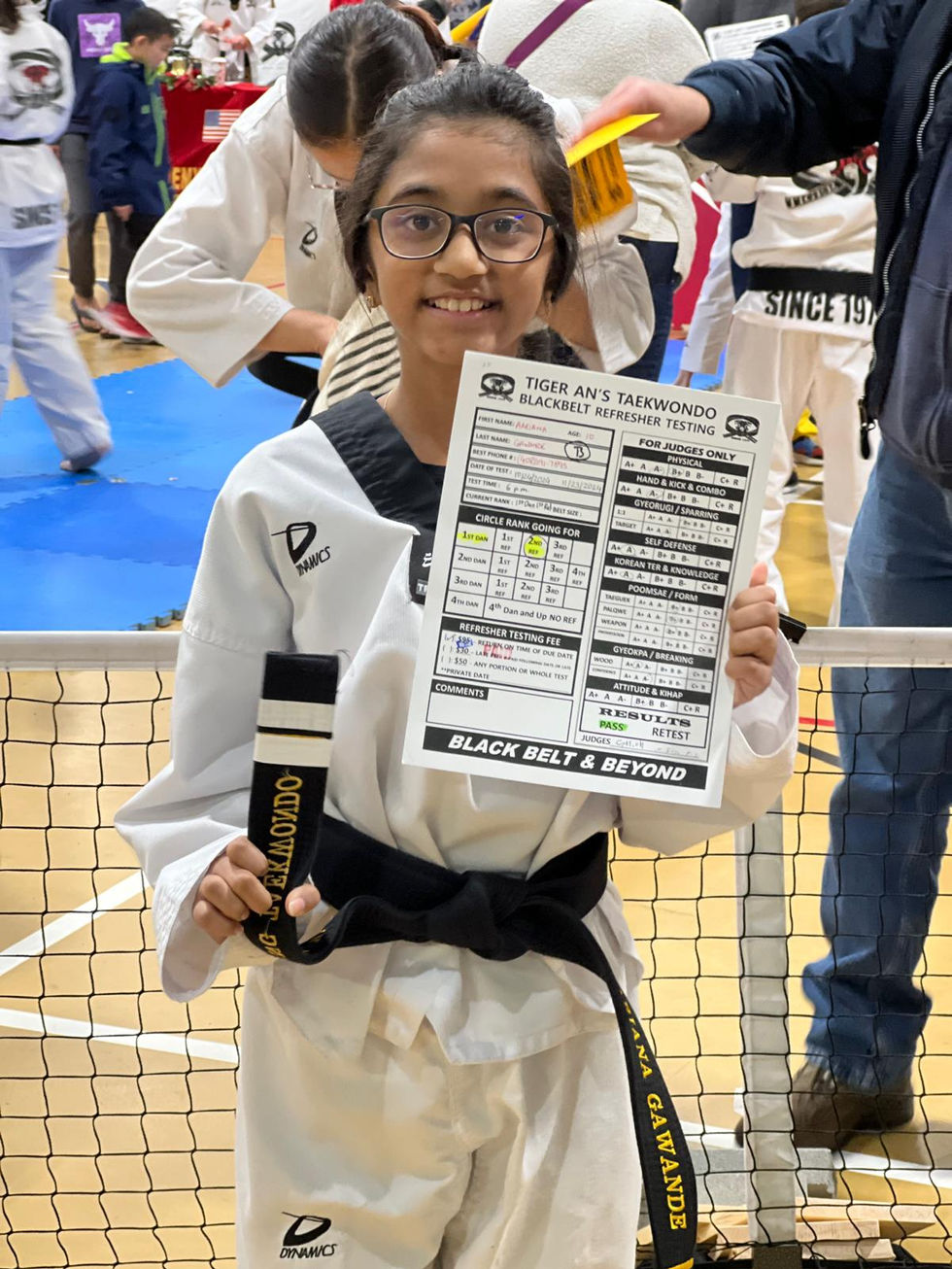 2nd stripe Taekwondo