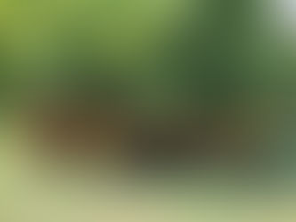 Die Sonne kommt raus