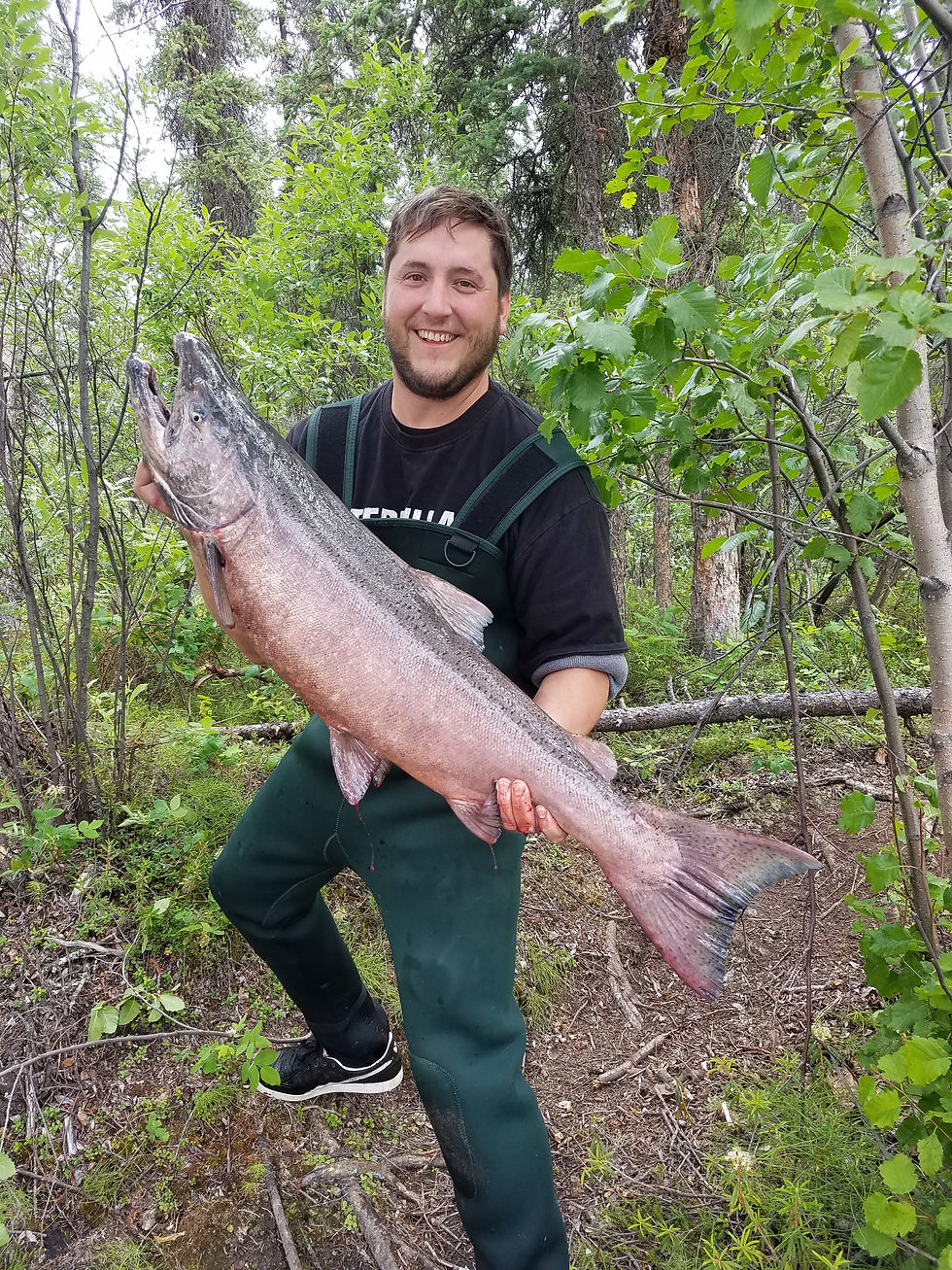 Chrome Klutina king
