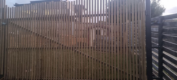20230119_211036.jpg