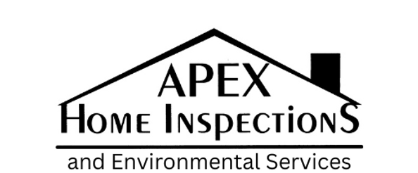 APEX Logo.png