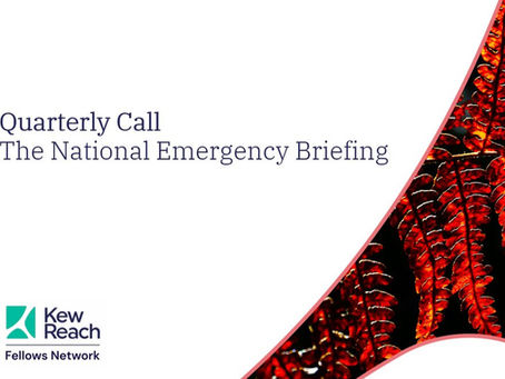 Fellows Network Quarterly Call: The Emergency Briefing