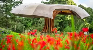 climate resilient planting.webp