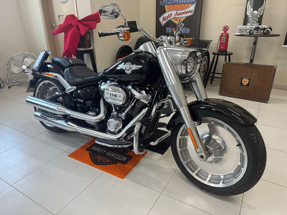 Miniatura: Harley Davidson Fat Boy 114 2019 - Impecável