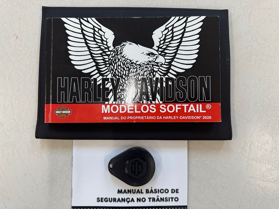 Miniatura: Harley Davidson Fat Bob 107 - 2020 - Maravilhosa