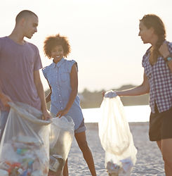 Volunteers Collecting Trash on Beach