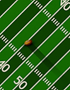 CFC Football Image 2.png