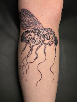 ALL SAINTS TATTOO AUSTIN TEXAS KERRI SITTENHAUER