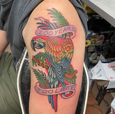 Parrot Tattoo Jimmy Buffett tattoo