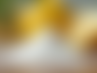 Benefits of Using Natural Cleaning Products at Home