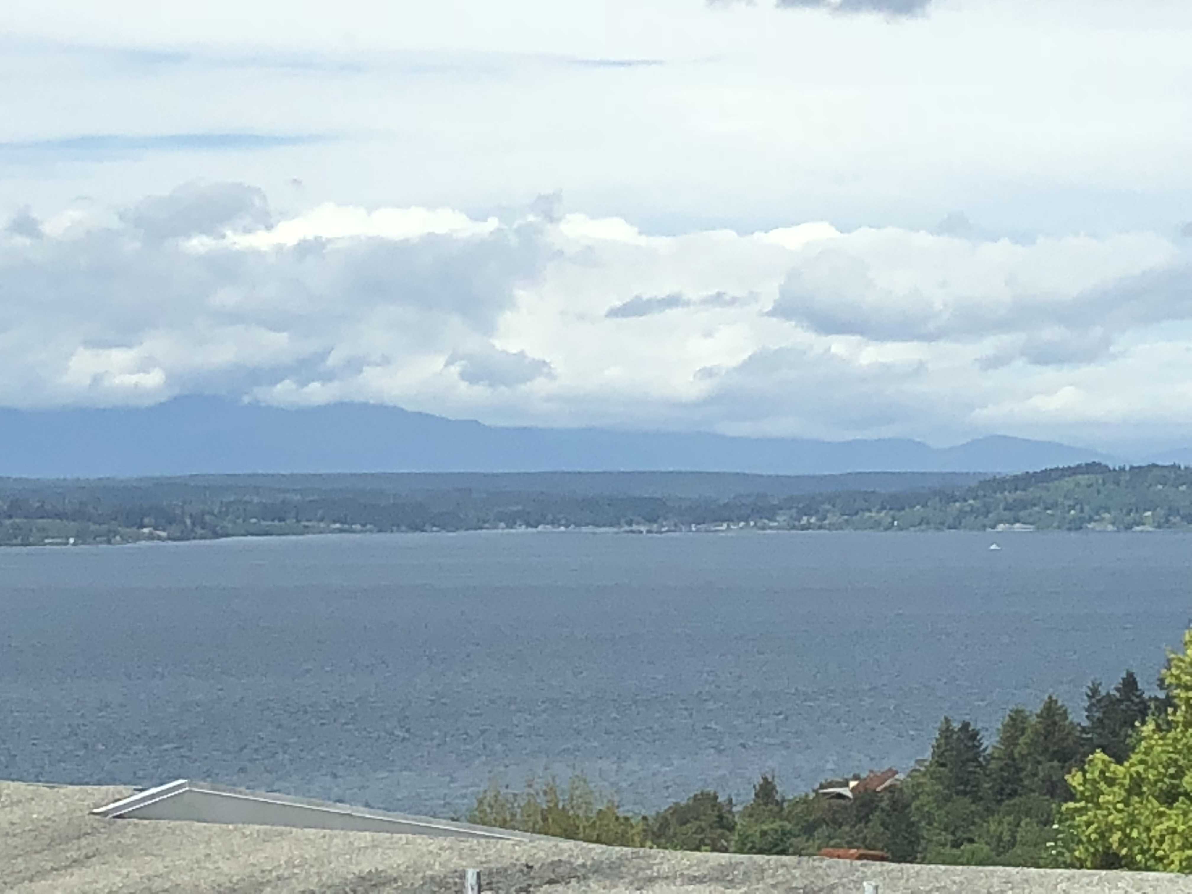 Shoreline Views