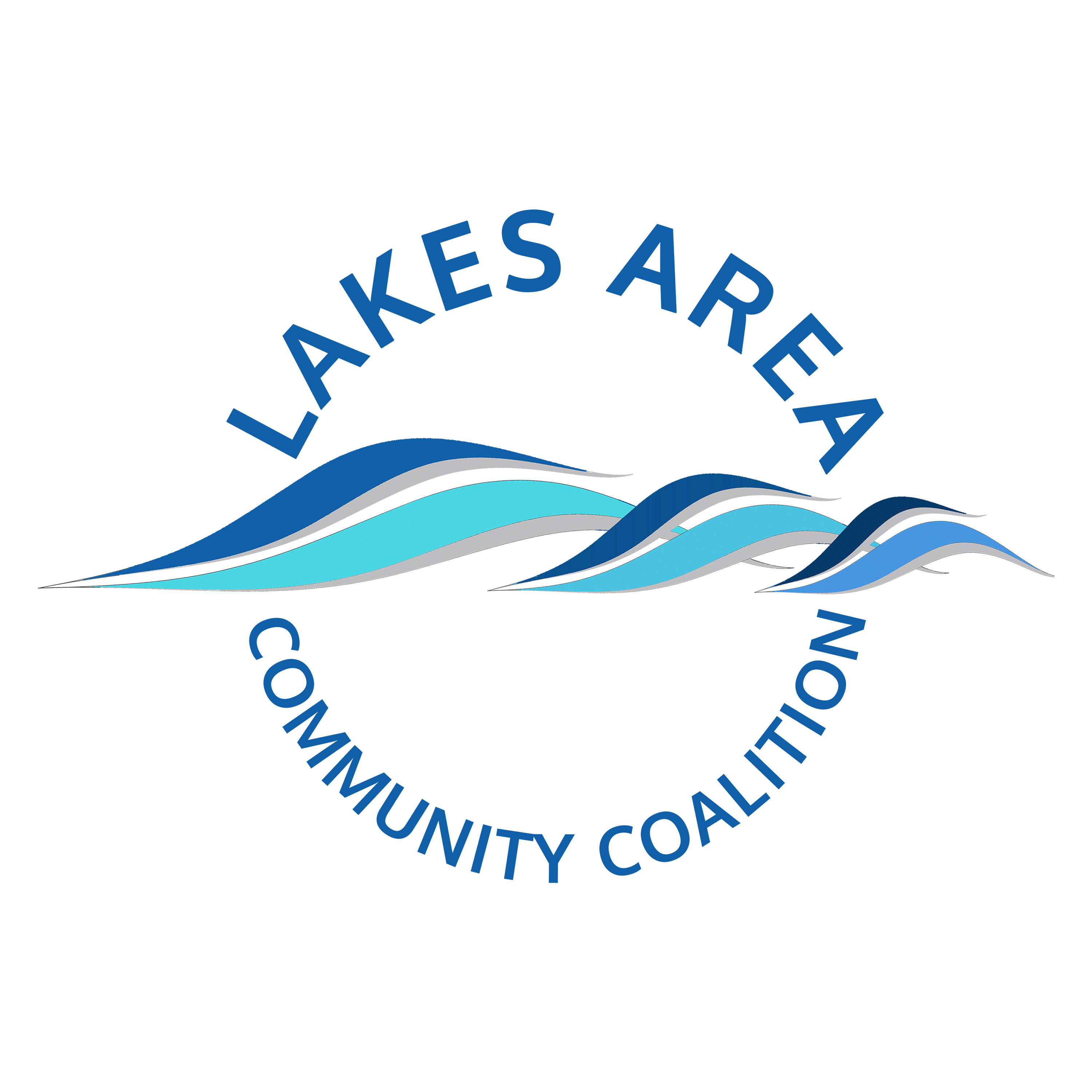 Staff Board And Volunteers Lakes Area Coalition