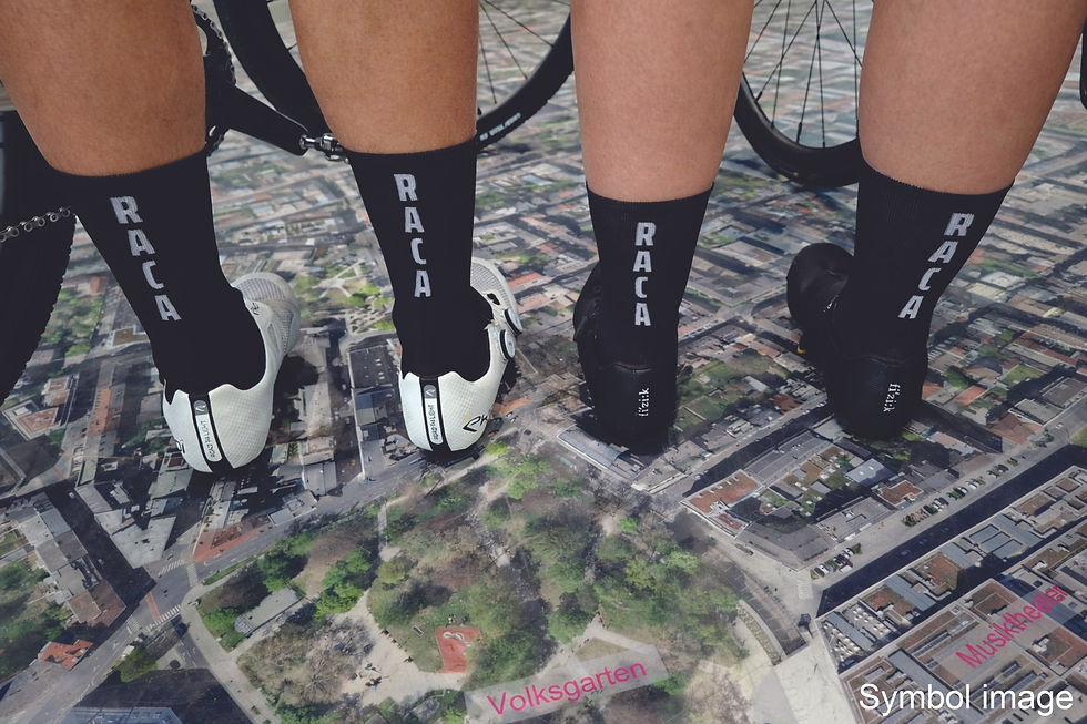 FP Light Weight Socks Long