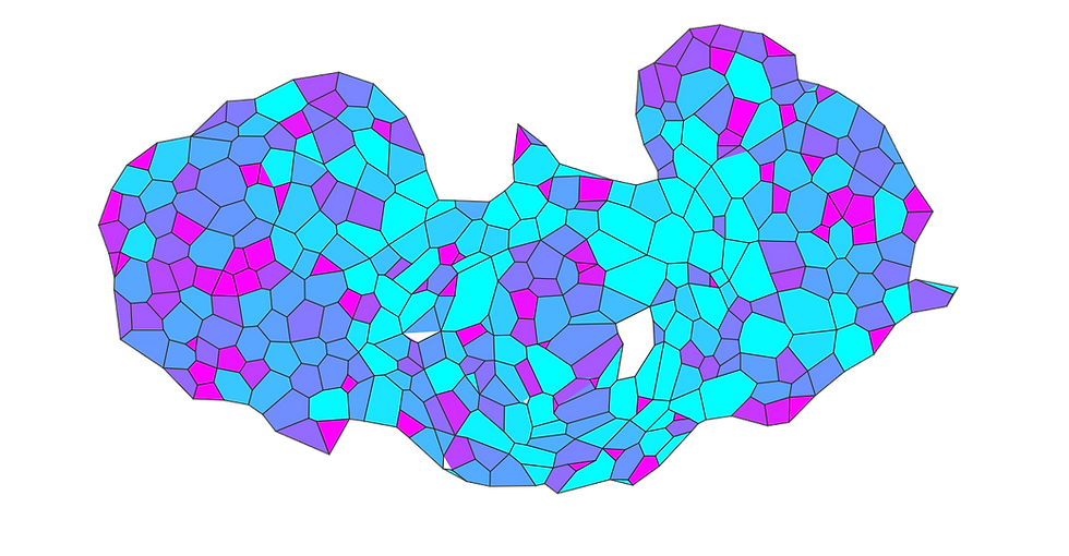 From in vitro to in silico
